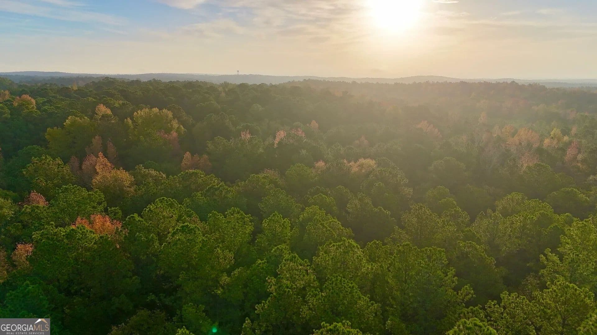 36.88 Acres of Land for Sale in Talbotton, GA - Talbotton, Georgia, 31827