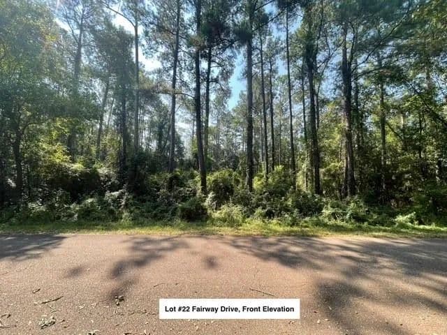 Vacant Land in Abita Springs - Abita Springs, Louisiana, 70420