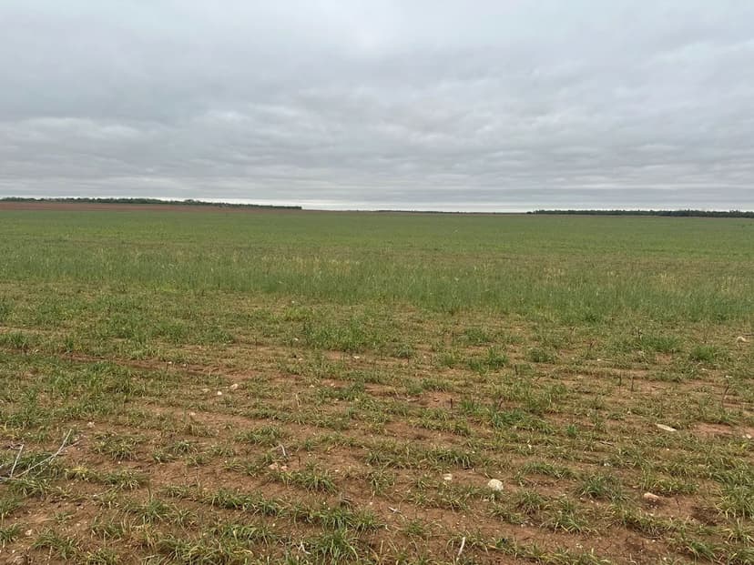 NEW LISTING!! 12 +/- Ac TBD FM 1812 (TR 2), Jones County