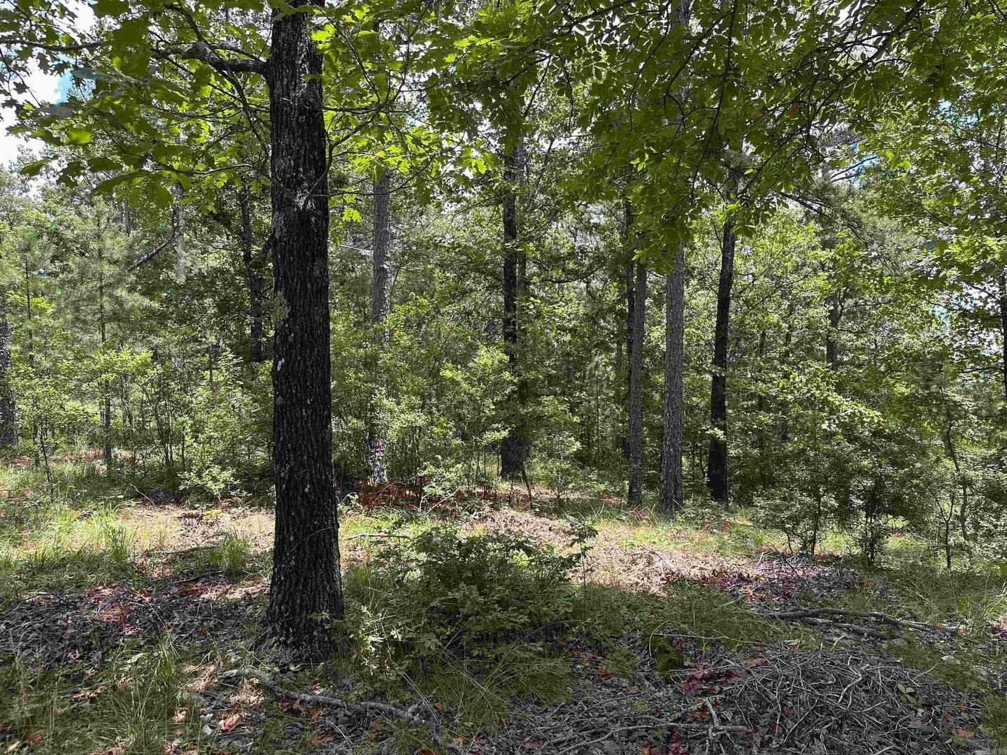 Lots & Land-Other in Hot Springs - Hot Springs, Arkansas, 71901