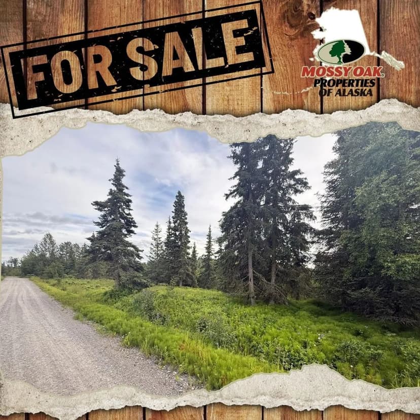 66307 Lothrop Park Dr, Ninilchik