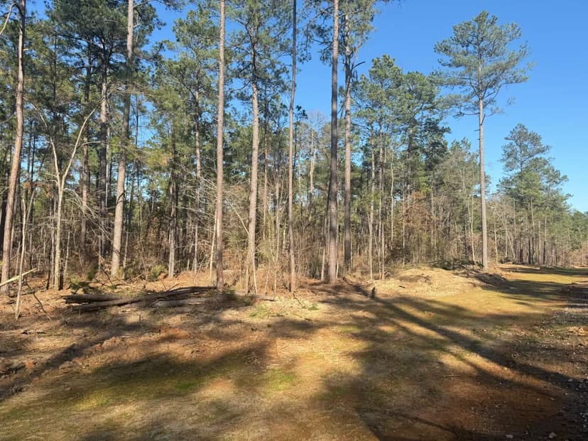 King Estates Lot 10: 9-Acre Wooded Homesite in Ruston, LA