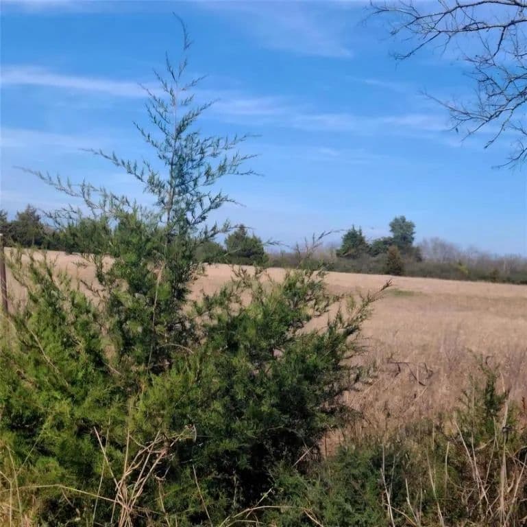 Vacant Land in Greenville - Greenville, Texas, 75401