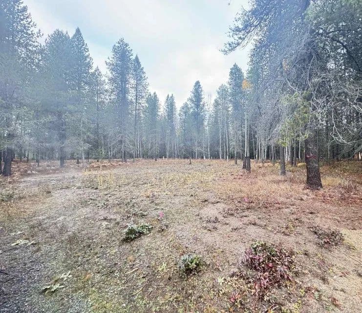Vacant Land in Ione