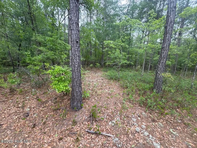 Property from 5, 6, 7 53 Off Highway - KW