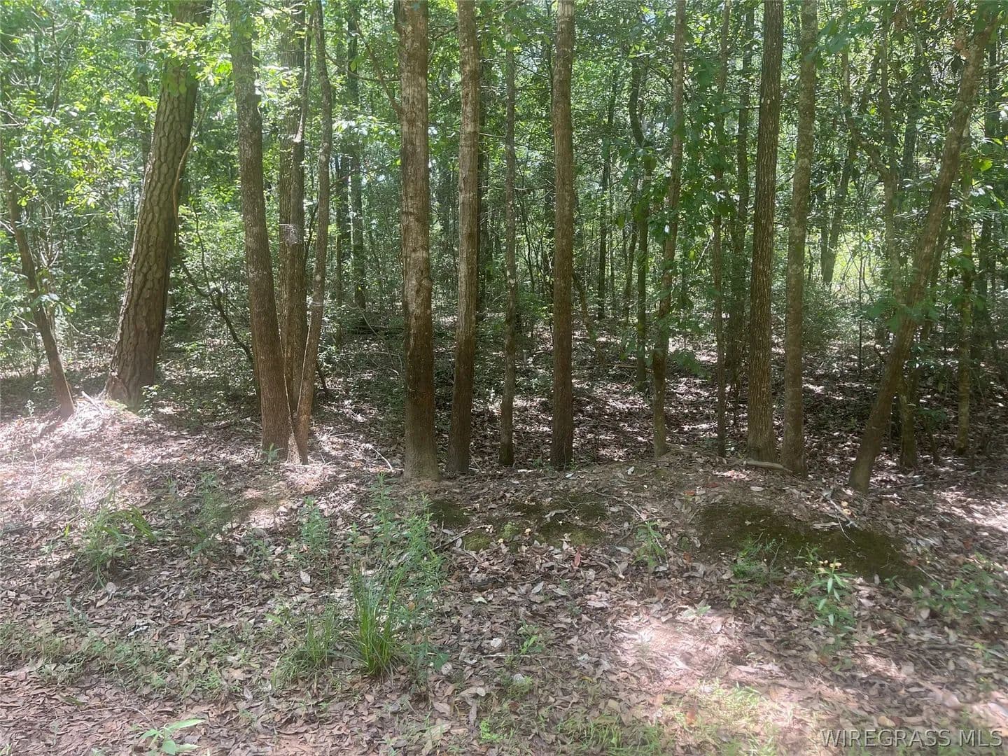 Vacant Land in Daleville - Daleville, Alabama, 36322