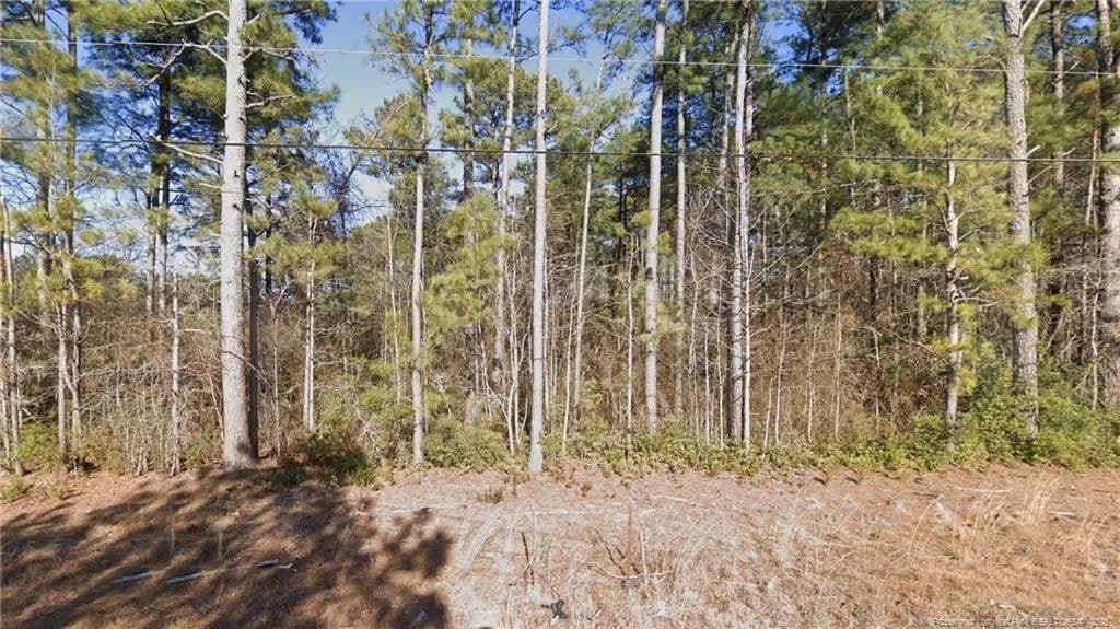 Vacant Land in Parkton - Parkton, North Carolina, 28371