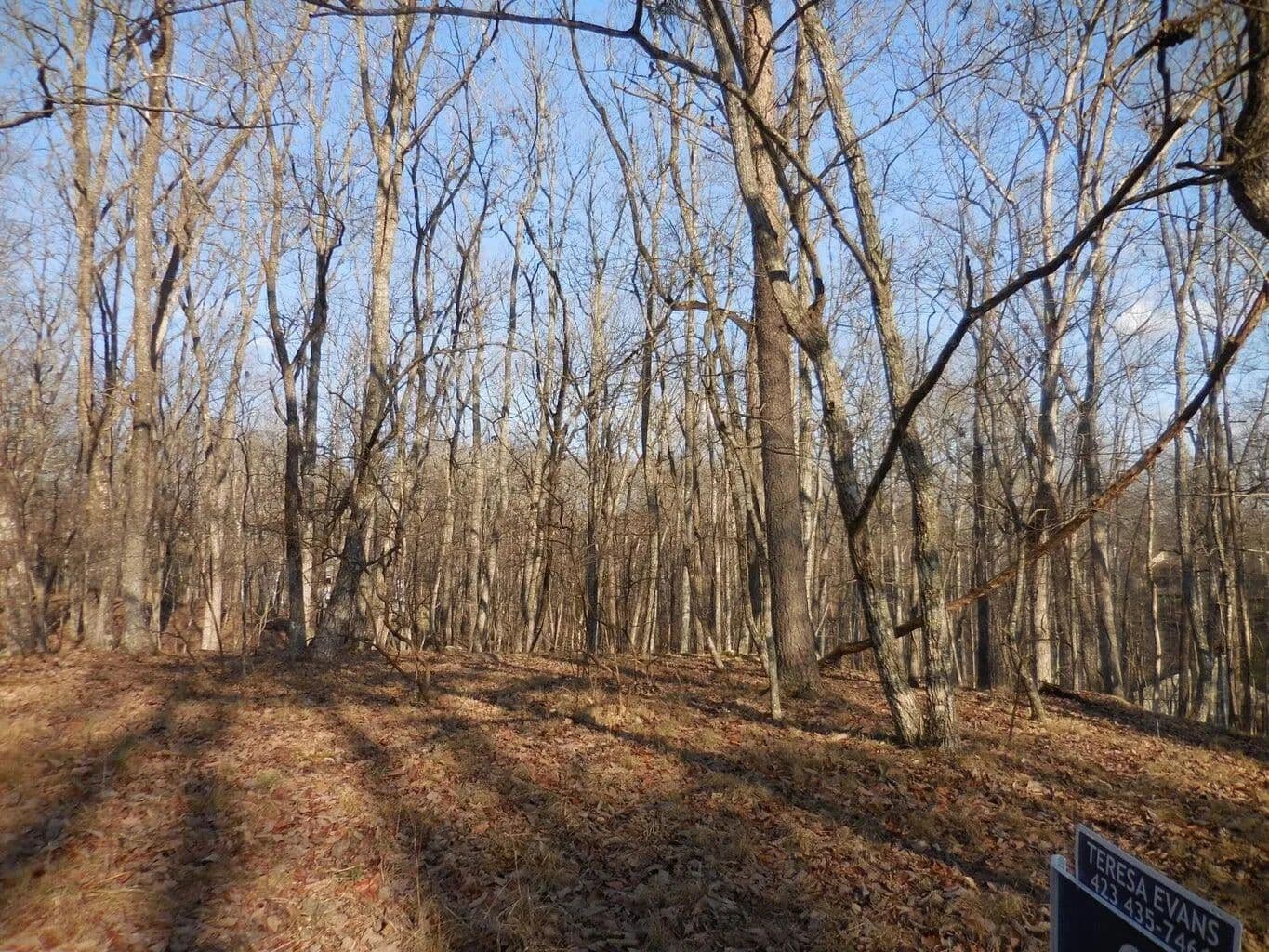 Lots & Land-Other in Crossville - Crossville, Tennessee, 38558