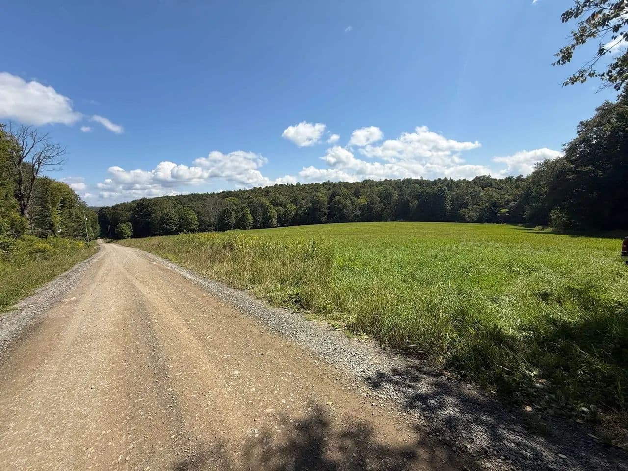 WAYNE COUNTY- RED SHALE RD 85.6 ± ACRES - Lakewood, Pennsylvania, 18439