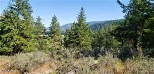 Vacant Land in Naches - Naches, Washington, 98937