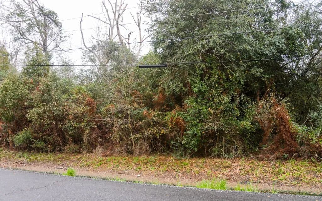 Land -Single Family Acreage in Lake Charles - Lake Charles, Louisiana, 70607