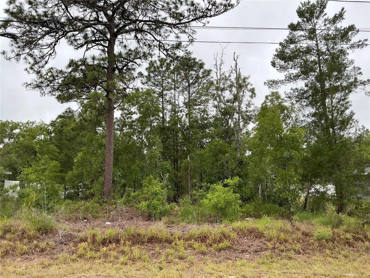 0.23 Acres of Land for Sale in Ocklawaha, Florida - Ocklawaha, Florida, 32179