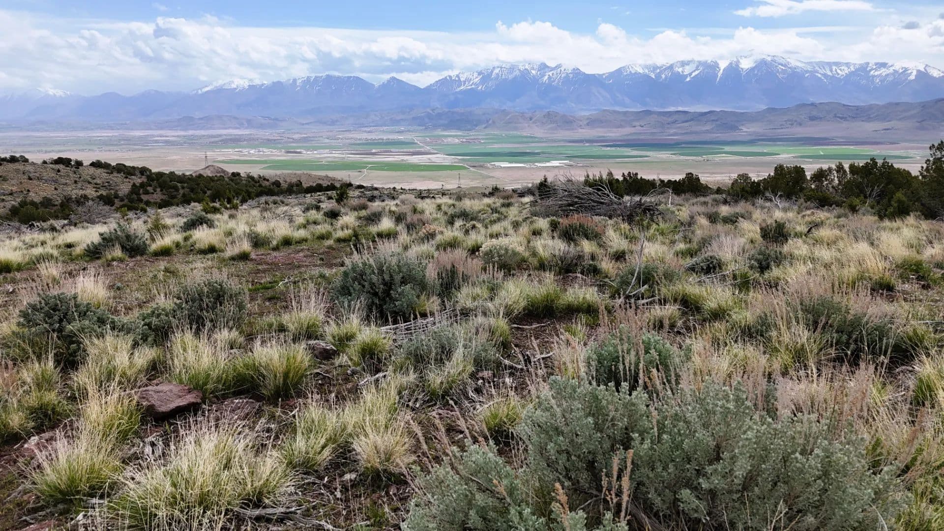 Views of Utah County - Elberta, Utah, 84633