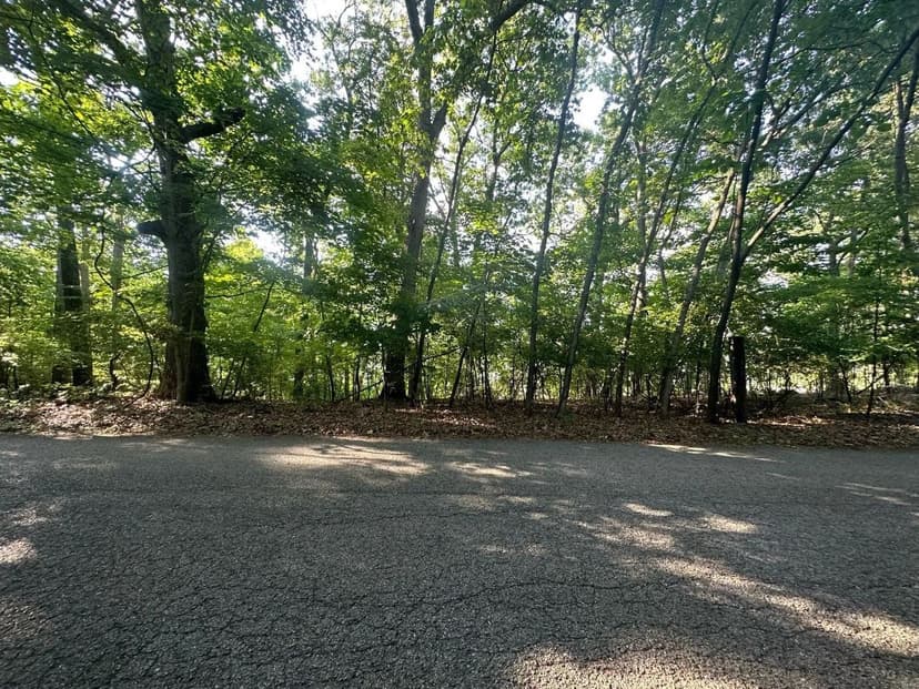 Vacant Land in Fenton