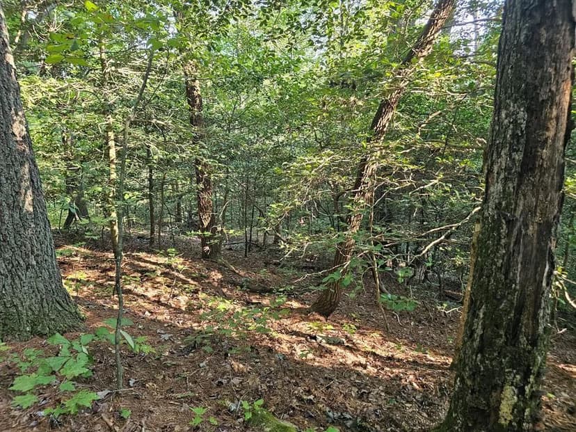 Lots & Land-Other in Ellijay