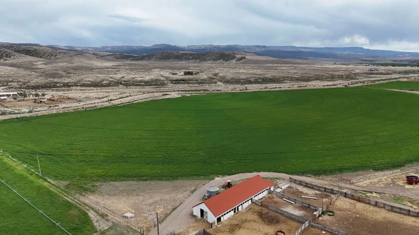 Land -Single Family Acreage in Antimony