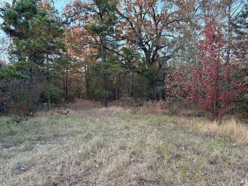 34 Acres of Prime Recreational & Hunting Land
