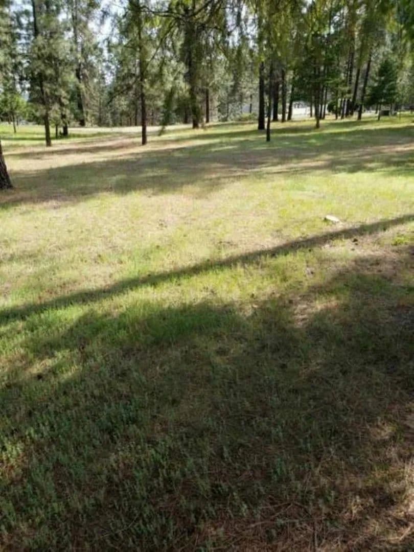 Vacant Land in Chewelah - Chewelah, Washington, 99109