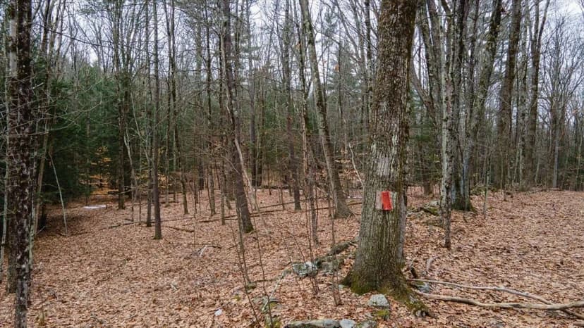 Vacant Land in Westmoreland