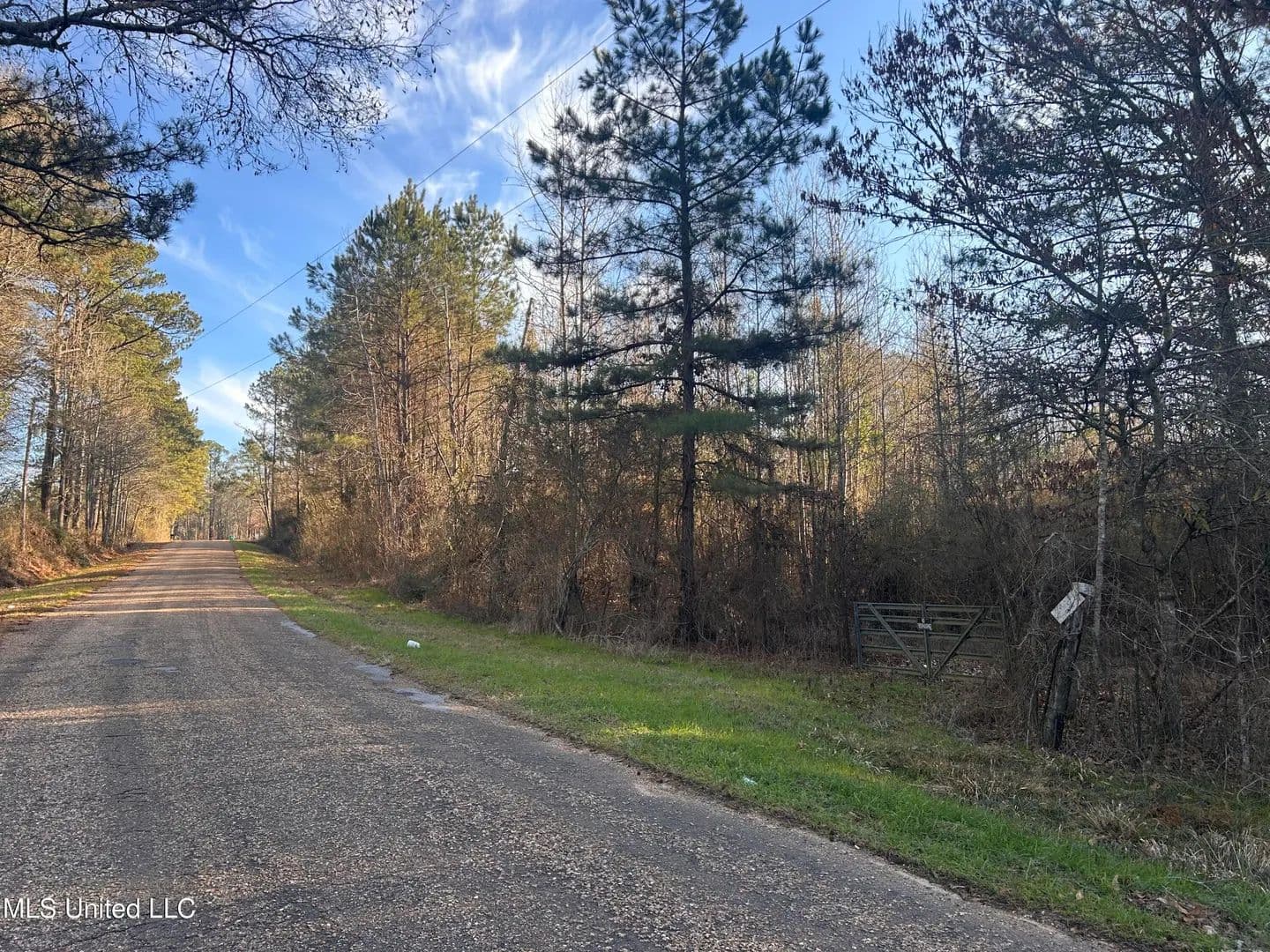36.84 acres near Wesson, Mississippi - land for sale