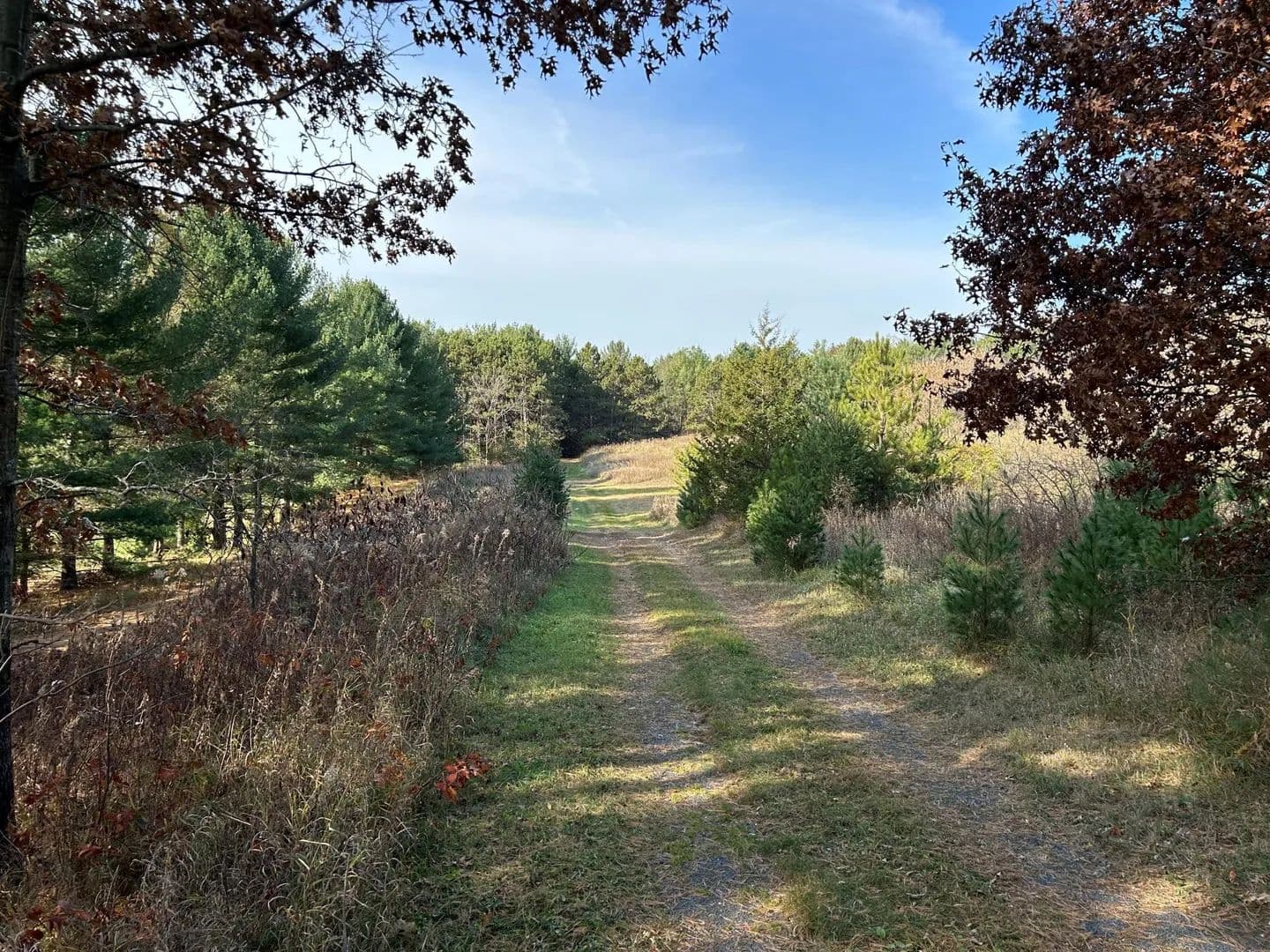 Vacant Land in Somerset - Somerset, Wisconsin, 54025
