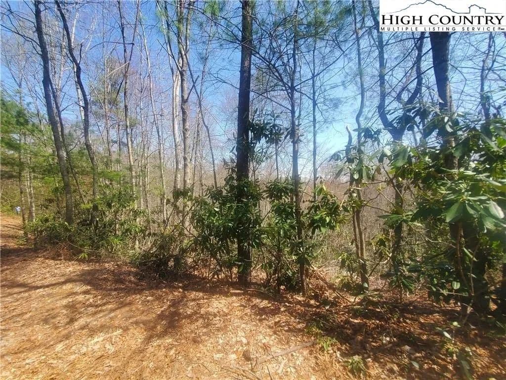 Lots & Land-Other in West Jefferson - West Jefferson, North Carolina, 28694