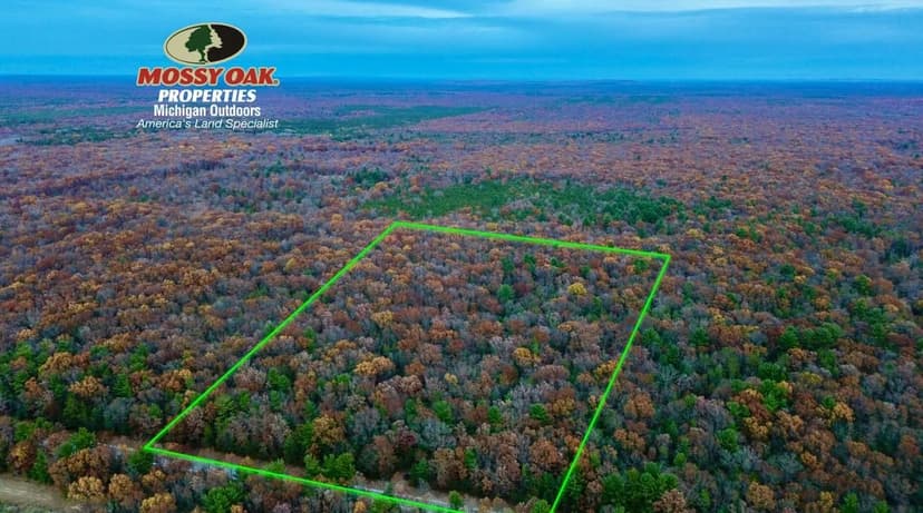 20 +/- Acre Retreat / Manistee County / Manistee, MI / Land For Sale