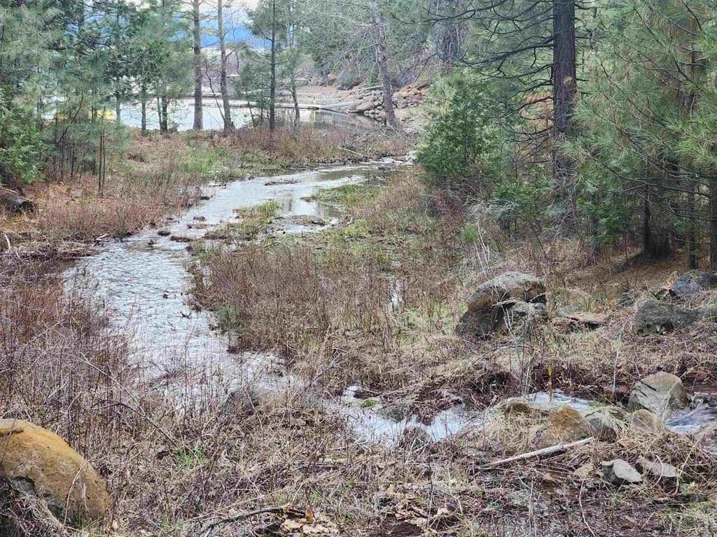 Vacant Land in Lake Almanor - Lake Almanor, California, 96137