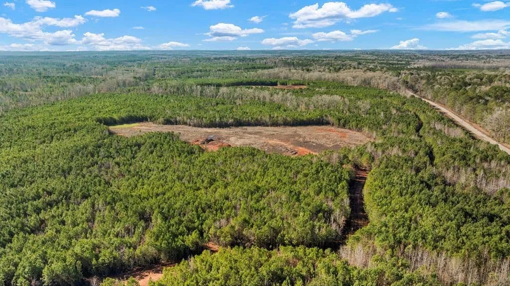 Vacant Land in Hamilton - land for sale