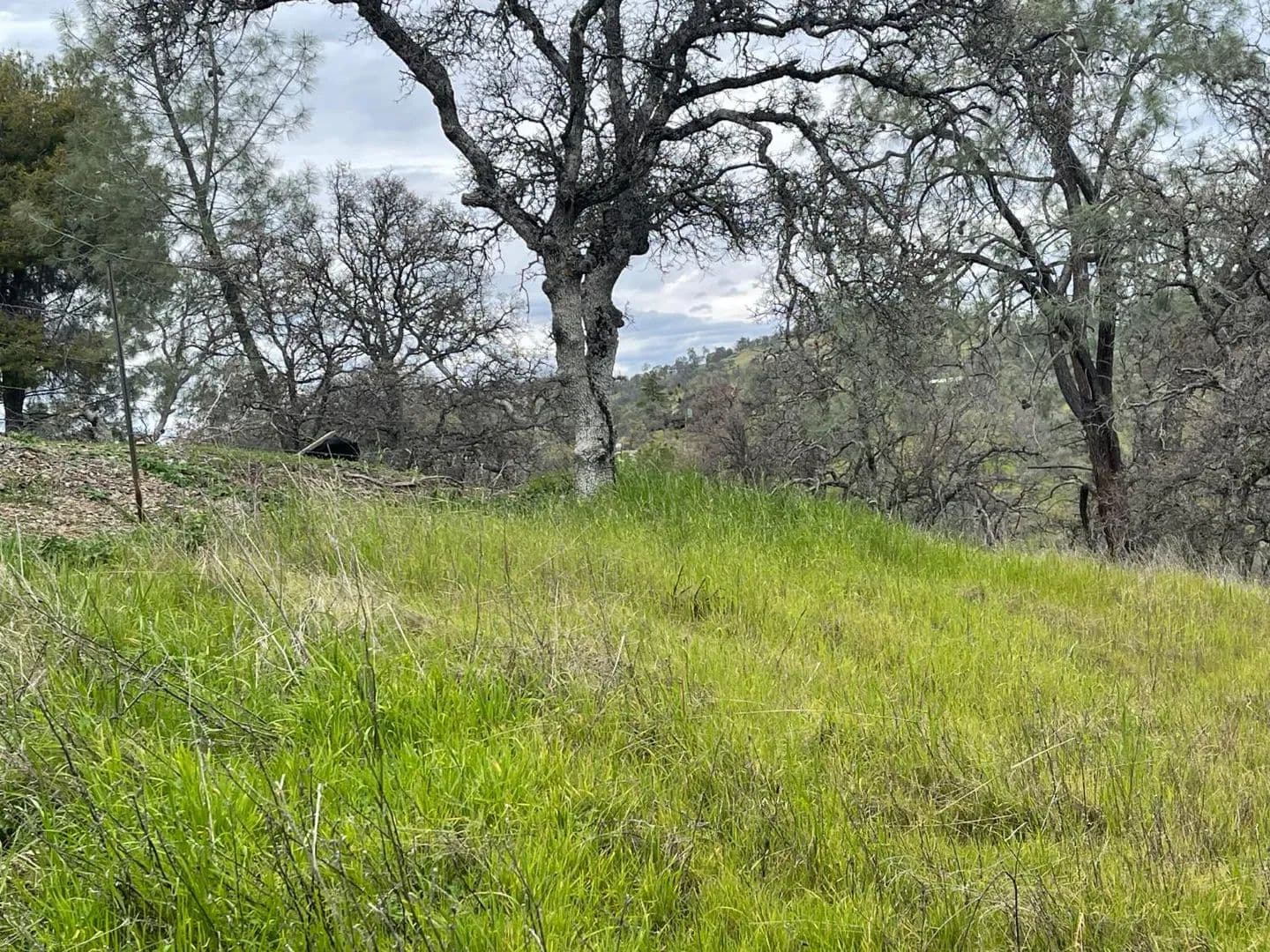 Property from 0 Hoyito - KW - La Grange, California, 95329