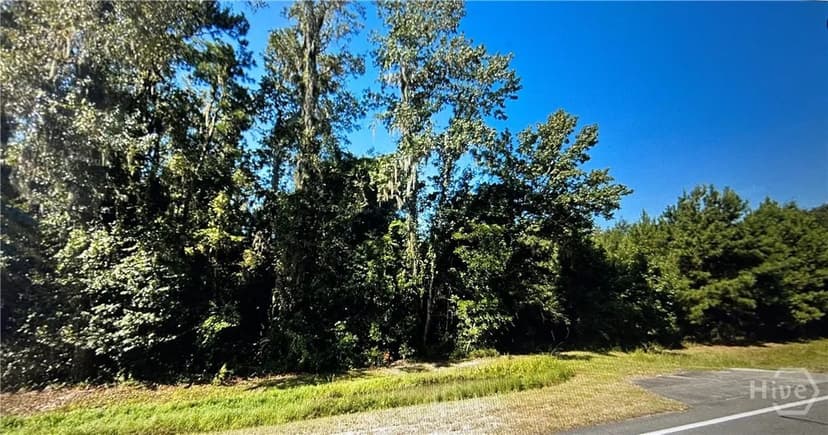 Property from 0 S Coastal Highway - KW