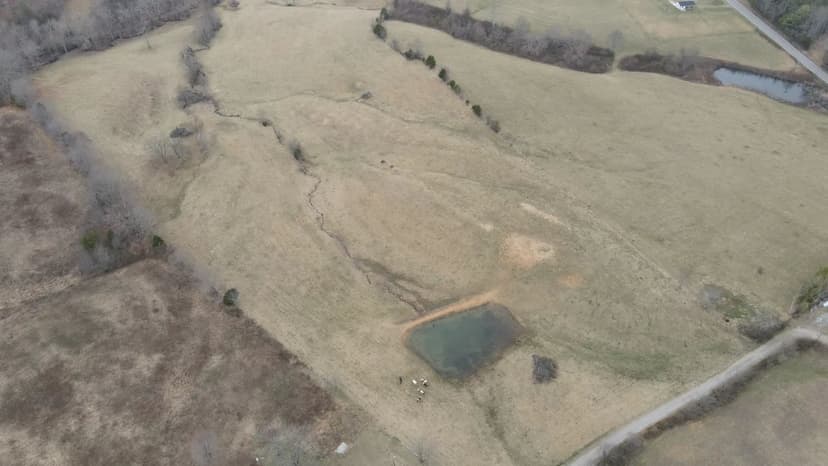 50 Acres in Bledsoe County, TN 