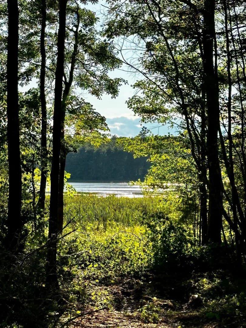 8.13 Acres of Land for Sale in Jefferson, ME - Jefferson, Maine, 04348