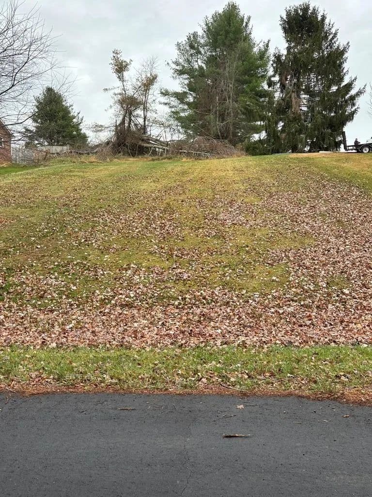 Vacant Land in Galax - Galax, Virginia, 24333