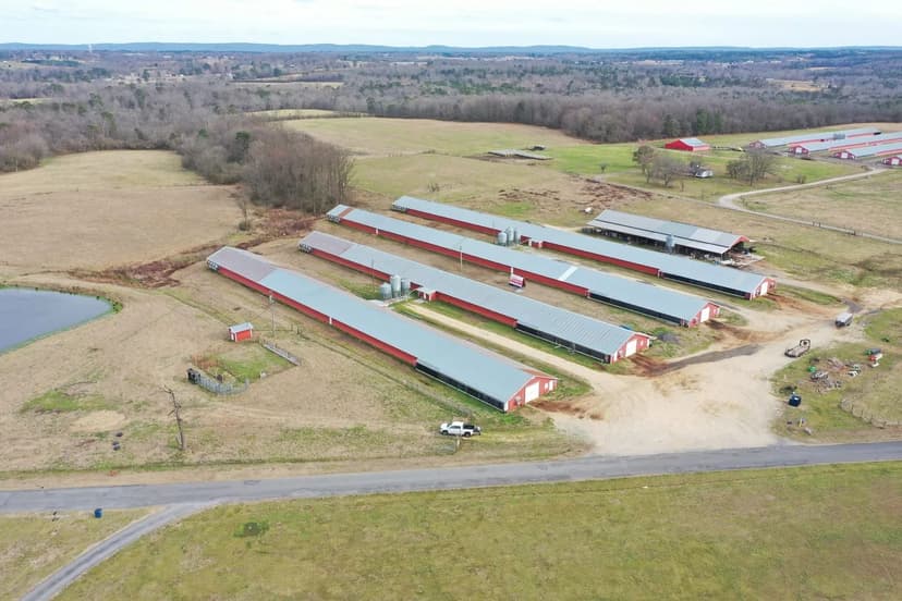 Blue Hole Broiler Farm – Four House Farm in Dekalb County, Alabama