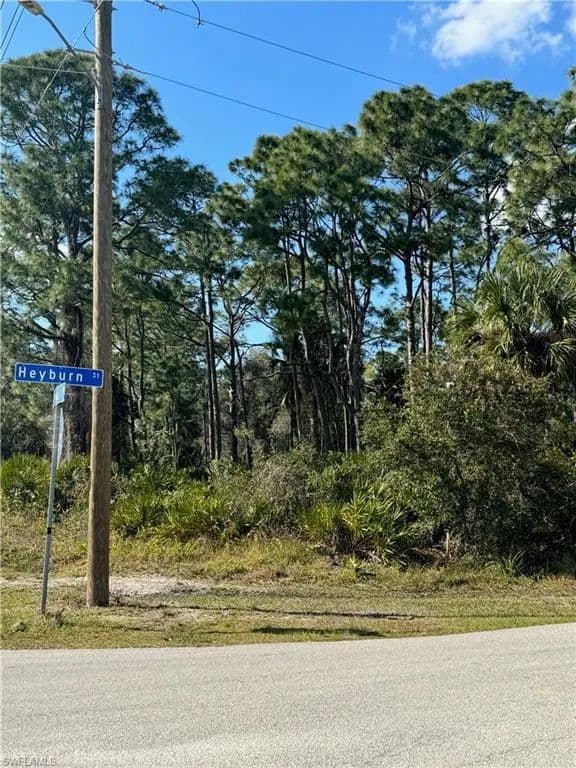 Vacant Land in Fort Myers - Fort Myers, Florida, 33905