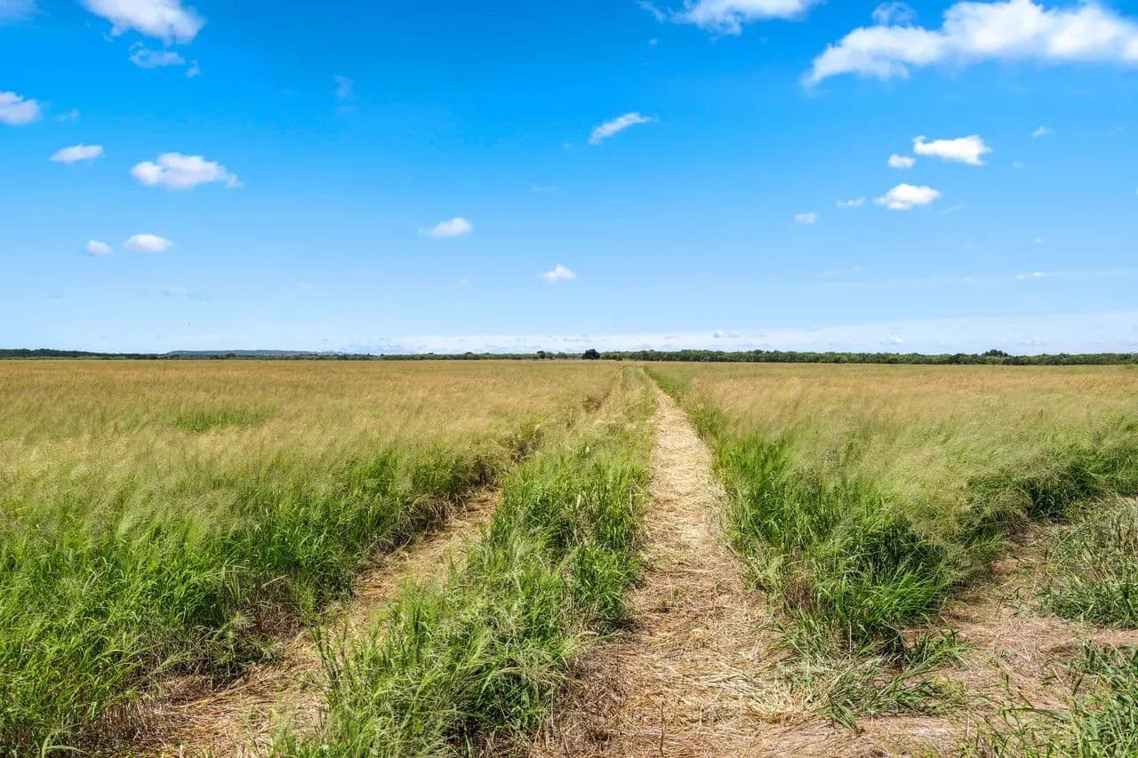 HAM - BALL RANCH - 200 ACRES NORTH - Clyde, Texas, 79510