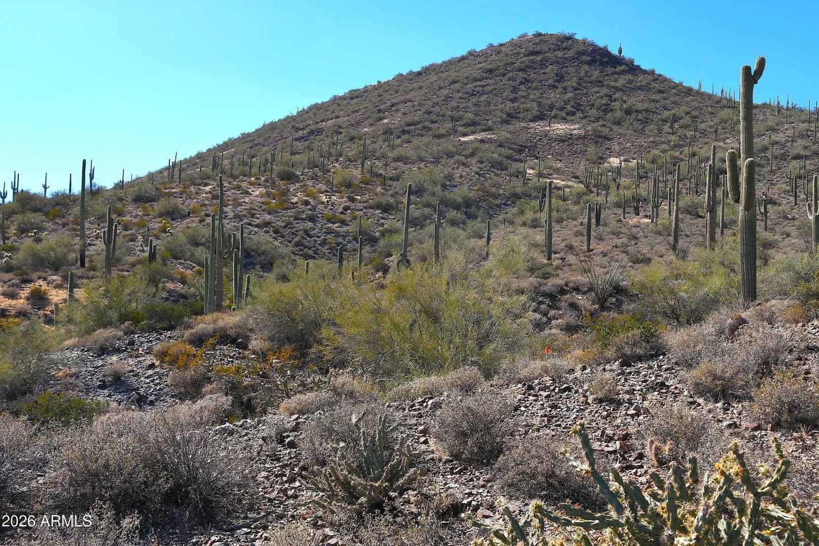 Vacant Land in Cave Creek - Cave Creek, Arizona, 85331