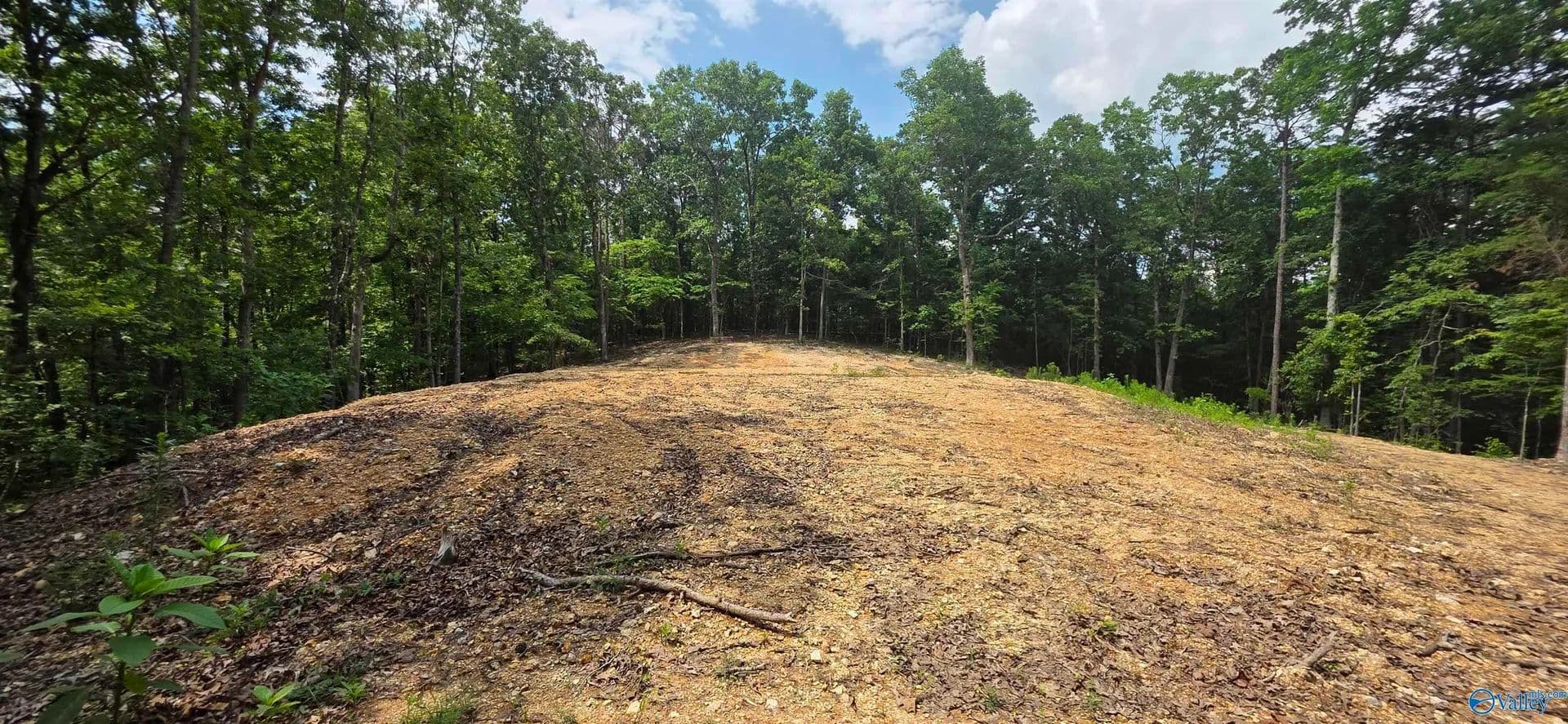 3.08 Acres of Land for Sale in Valley Head, AL - Valley Head, Alabama, 35989