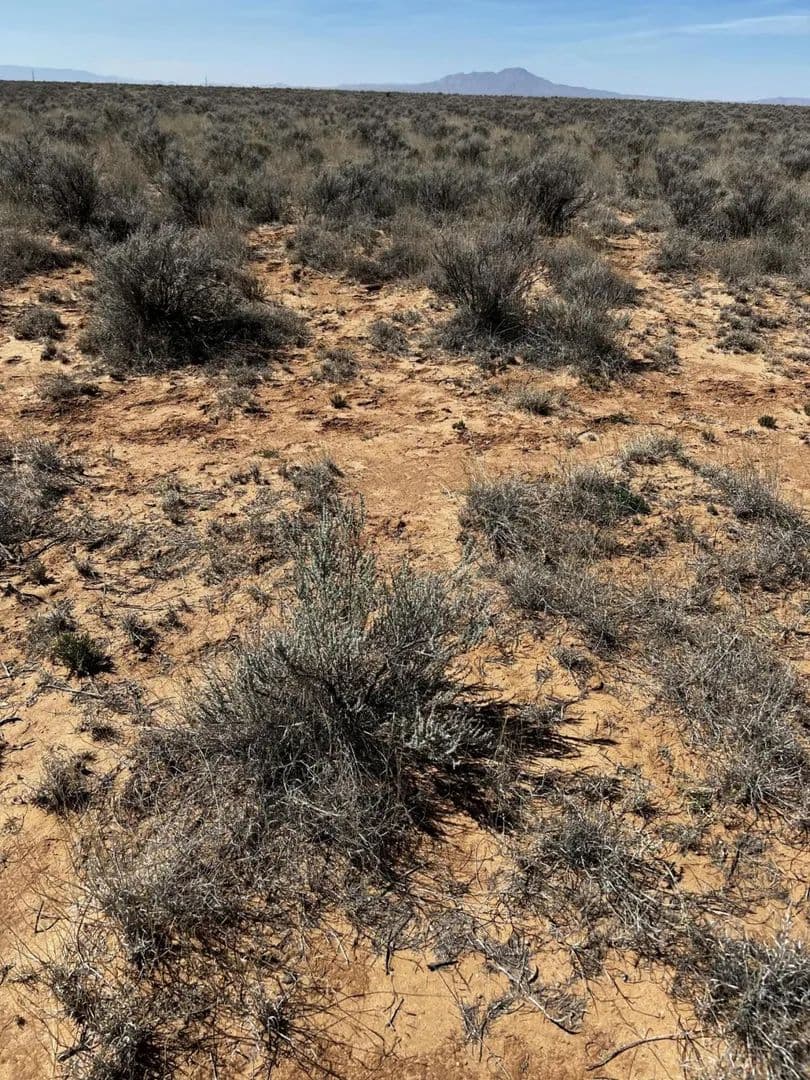 Land -Single Family Acreage in Belen