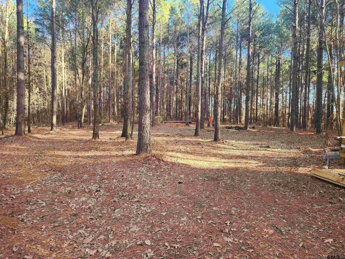 Lots & Land-Other in Pittsburg - Pittsburg, Texas, 75686
