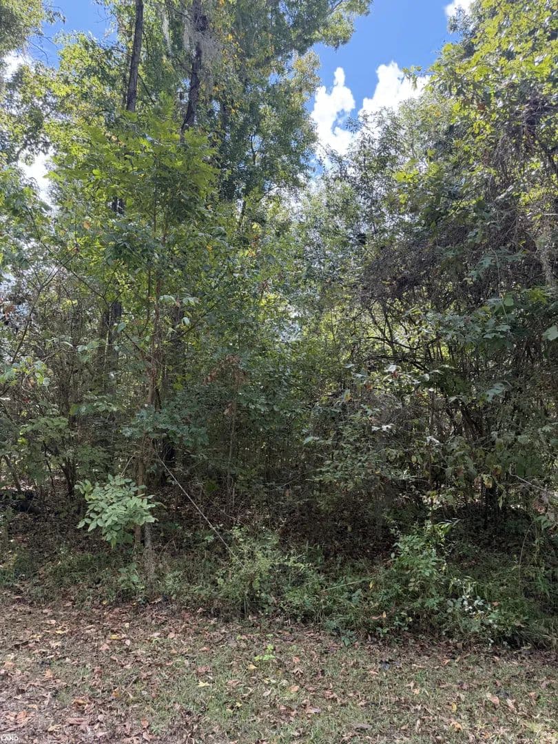 Alabama River Lot - Orrville, Alabama, 36767