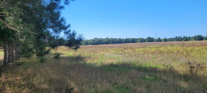 Lots & Land-Other in Pentwater