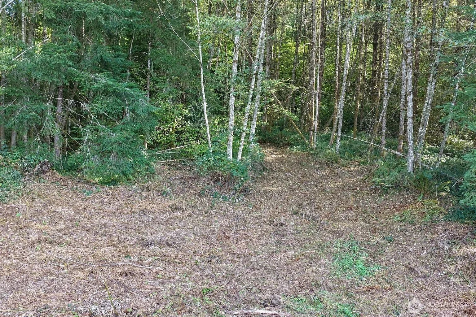 20 Acres of Private Mountain Land in Camas, WA for Sale - Camas, Washington, 98607