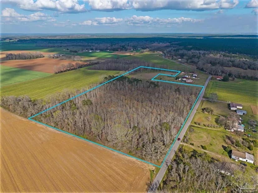 Property from 6562 Will Jones Rd - KW