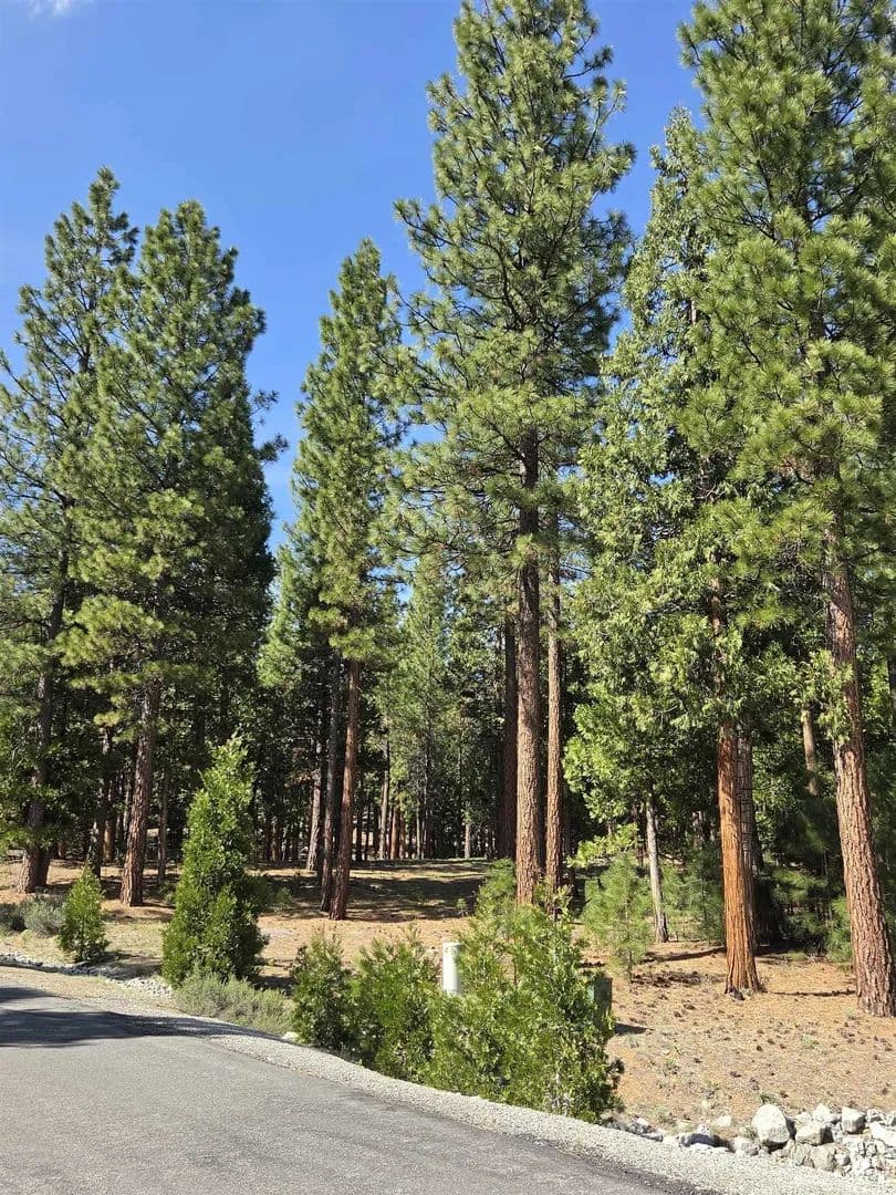 Vacant Land in Portola - Portola, California, 96122