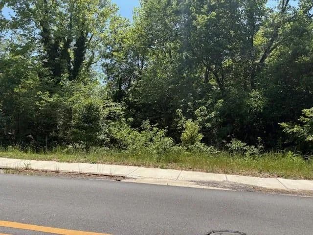 Vacant Land in Phenix City