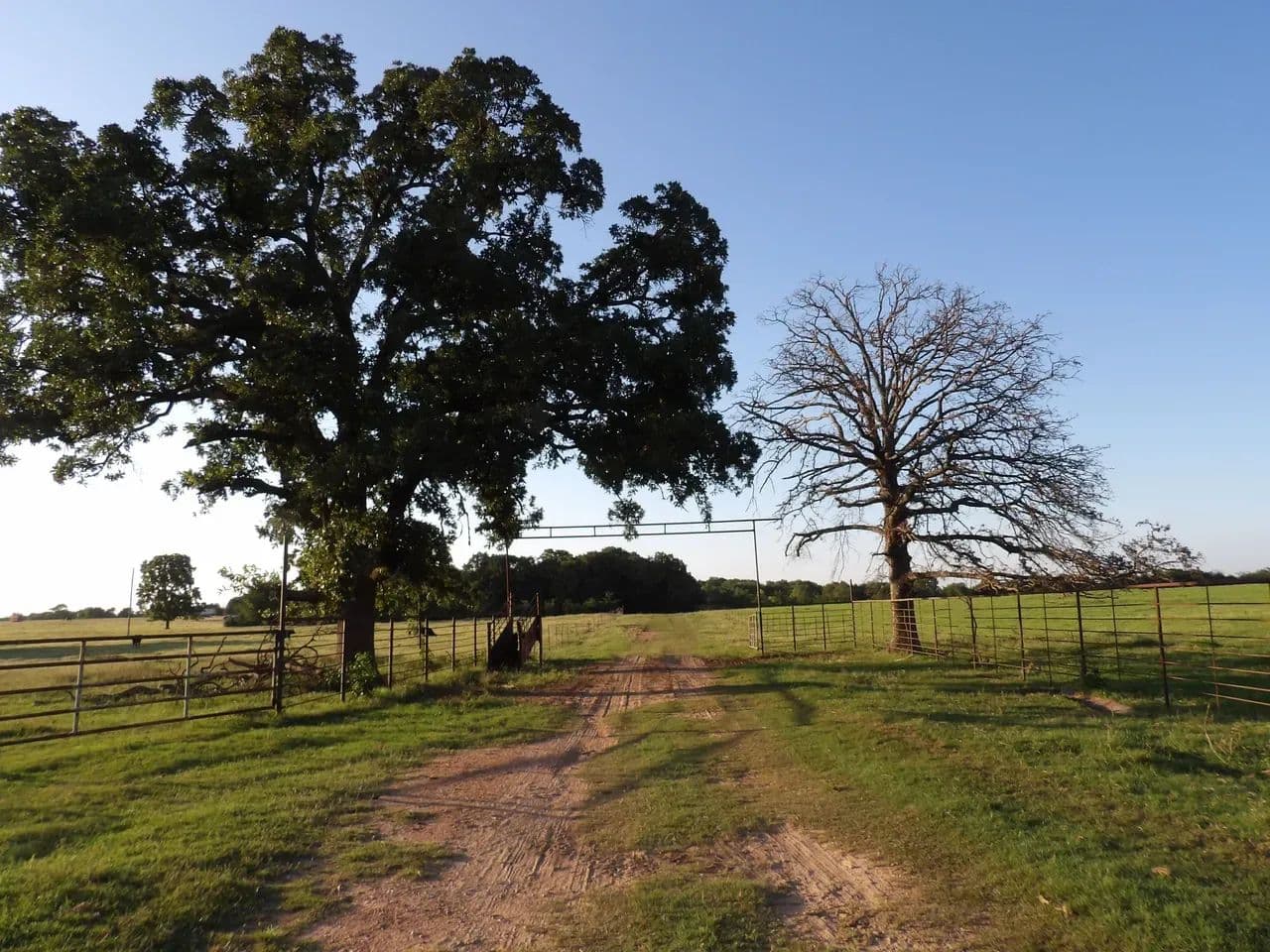 PRODUCTIVE RANCH FEATURING PASTURE, WILDLIFE, & NATIVE PECAN TREES - Bennington, Oklahoma, 74723