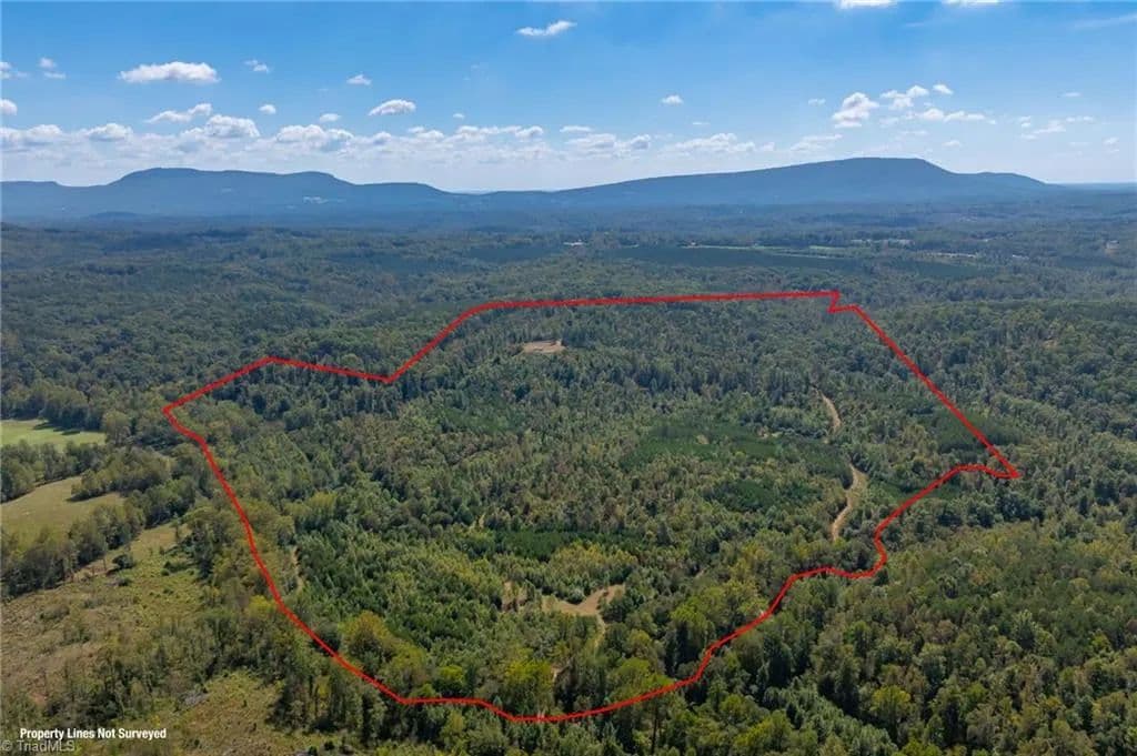 136.41 Acres of Land for Sale in Westfield, NC - Westfield, North Carolina, 27053