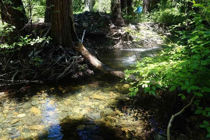 Vacant Land in Cromberg